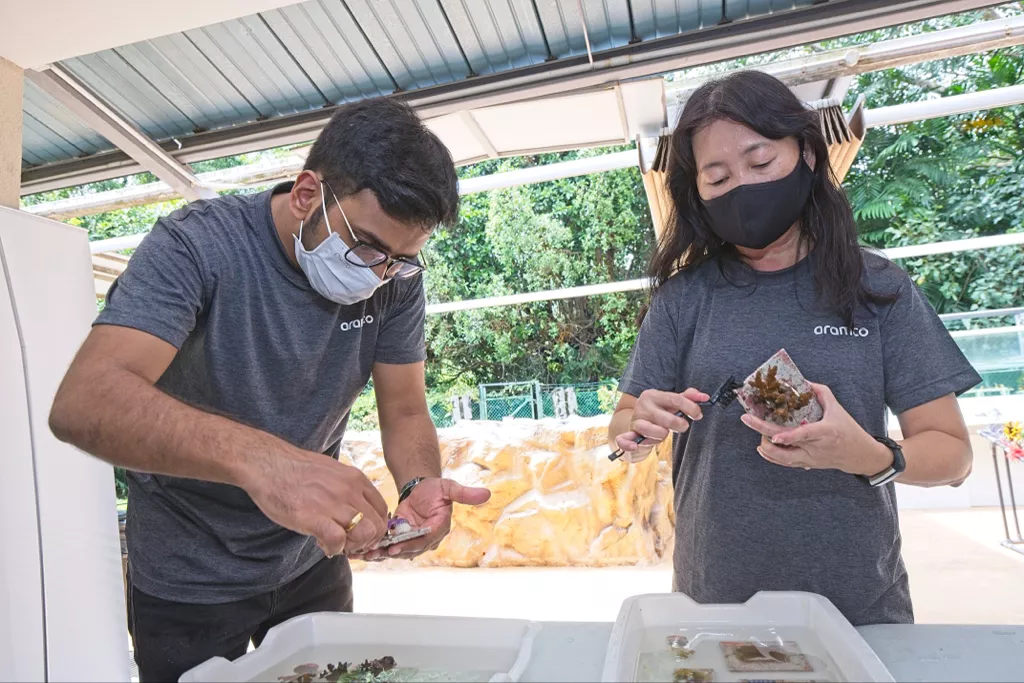 Aramco employees volunteering